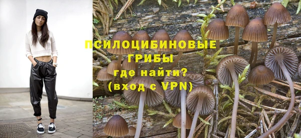 бошки Абдулино