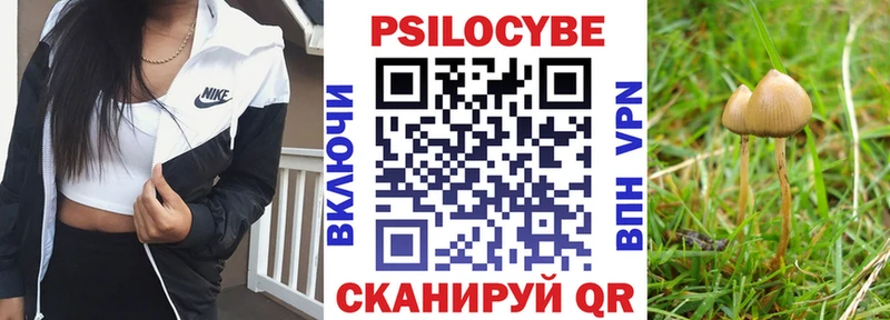 Галлюциногенные грибы GOLDEN TEACHER  Ряжск 